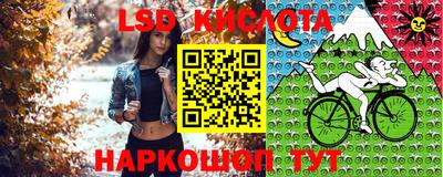 стафф Новозыбков