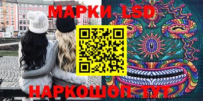 mdpv Новодвинск