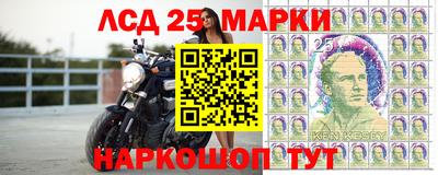 индика Новокубанск