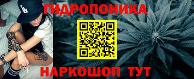 индика Новокубанск