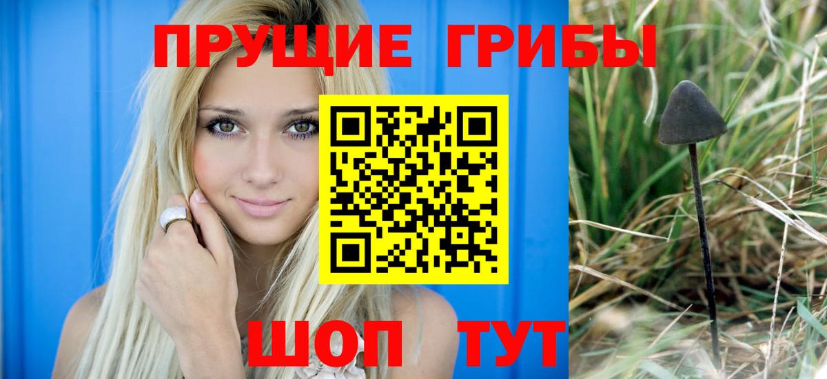 Галлюциногенные грибы Cubensis  Вход с VPN  Стрежевой 
